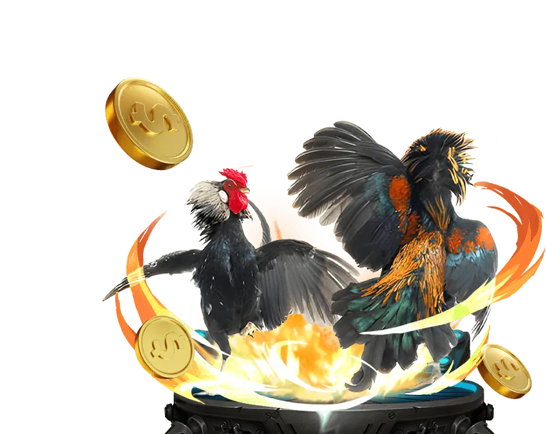 Giới thiệu về 8ket chính thức Casino